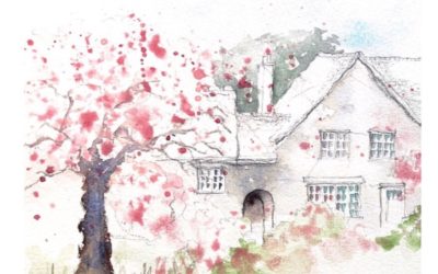 How to quick sketch cherry blossoms