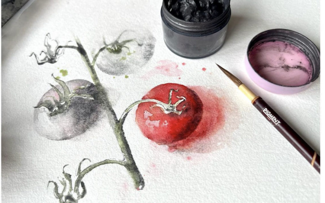 tomatoes in watercolor and graphite